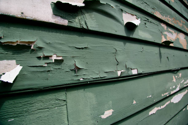 Best Siding for Multi-Family Homes  in Ragland, AL
