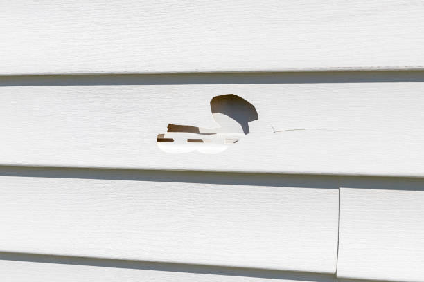 Reliable Ragland, AL Siding Installation & Repair Solutions