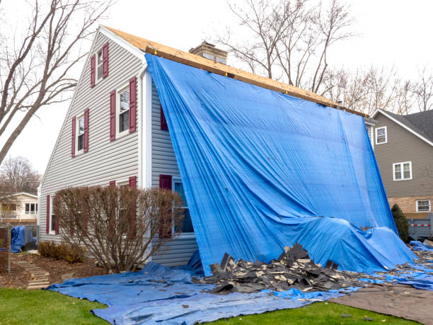 Best Stucco Siding  in Ragland, AL