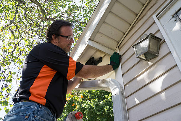 Best Custom Siding Design  in Ragland, AL